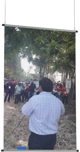 Especialista da MIP Florestal apresentando resultados de monitoramento de pragas