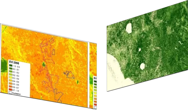 Gráfico de evolução do monitoramento de pragas