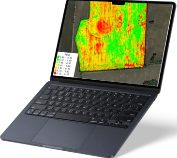 Sistema web da MIP Florestal exibindo o monitoramento de pragas em tempo real